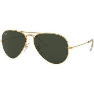 Ray Ban Gold Frame Aviators with Case